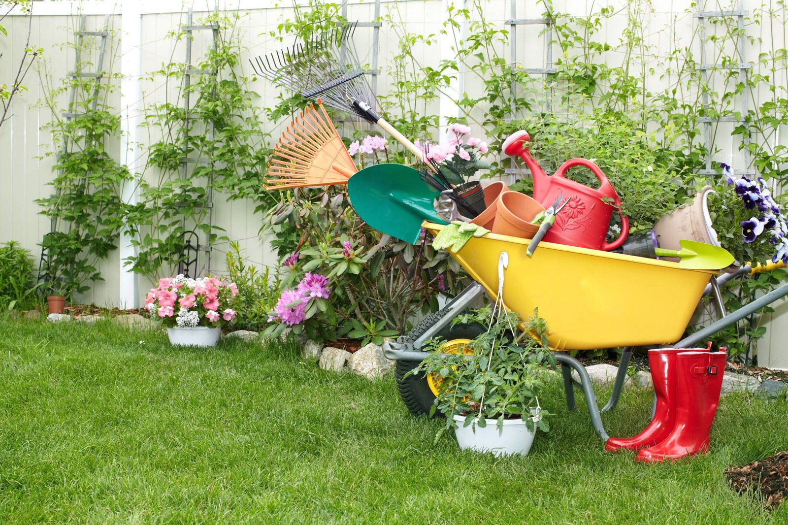 Garden Tools Every Homeowner Should Have