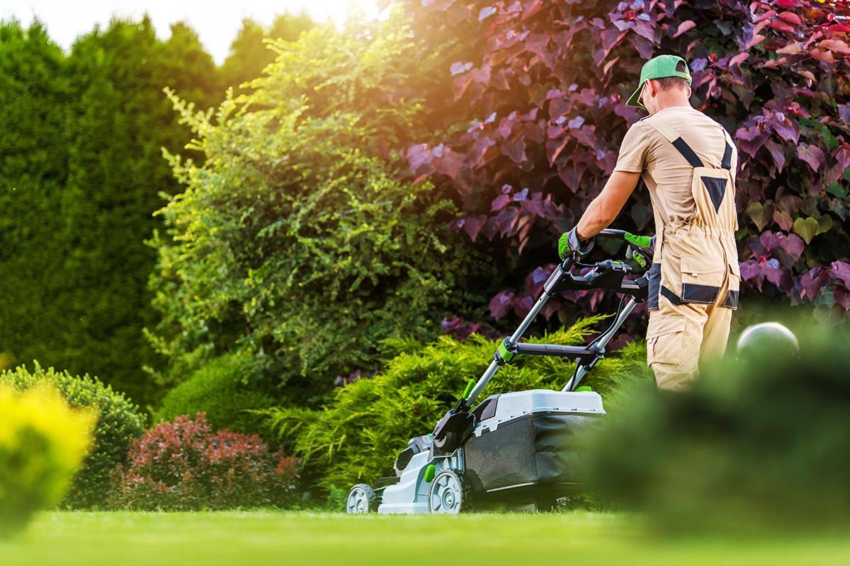 How to Prepare Your Yard for Every Season