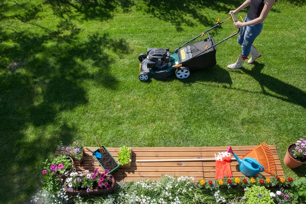 Essential Lawn Care Tips for a Healthy Yard